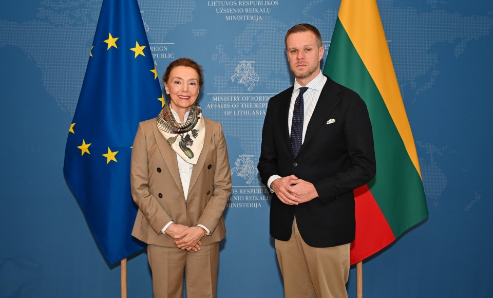 Užsienio reikalų ministras: parama Ukrainai – svarbiausias Lietuvos pirmininkavimo ET Ministrų Komitetui prioritetas  