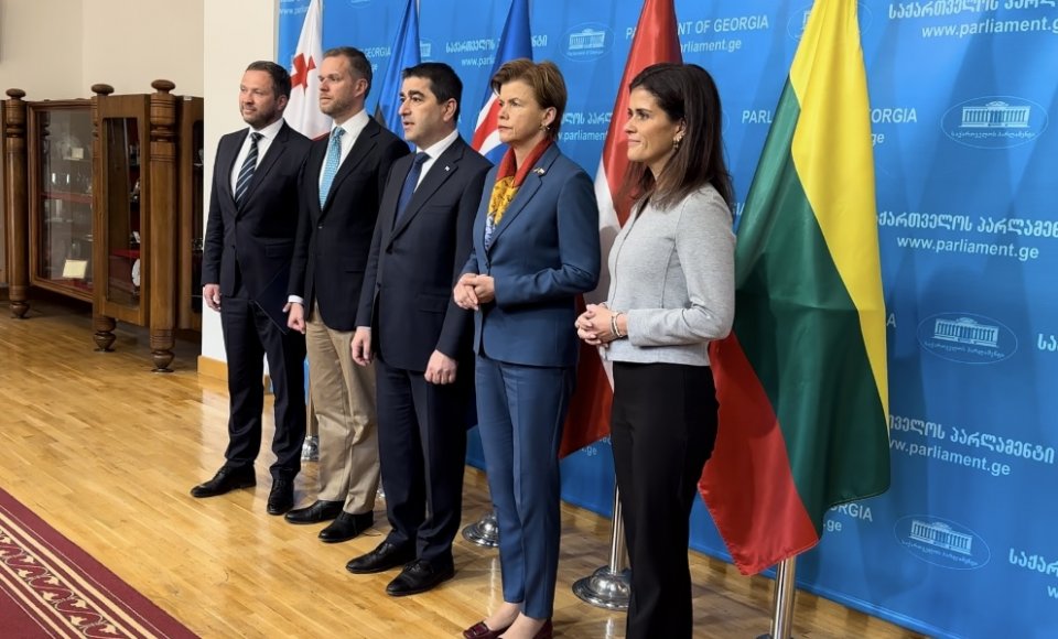 G. Landsbergis susitiko su Sakartvelo parlamento pirmininku: „užsienio įtakos“ įstatymas...