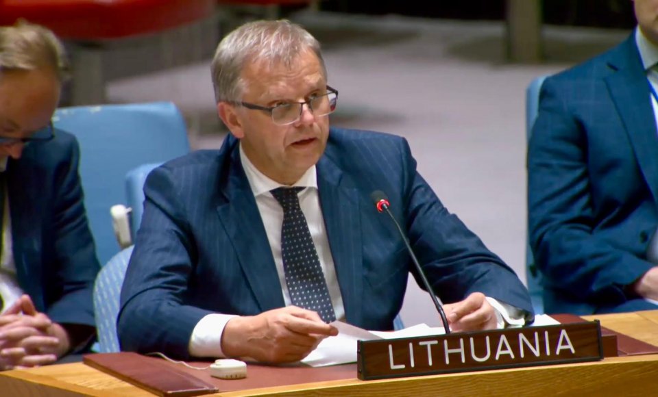 Jungtinių Tautų Saugumo Tarybos posėdyje Lietuva išreiškė paramą Ukrainos taikos formulės principams
