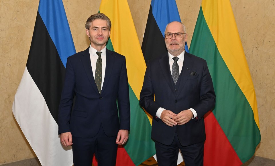Minister spraw zagranicznych Litwy K. Budrys spotkał się z prezydentem Estonii
