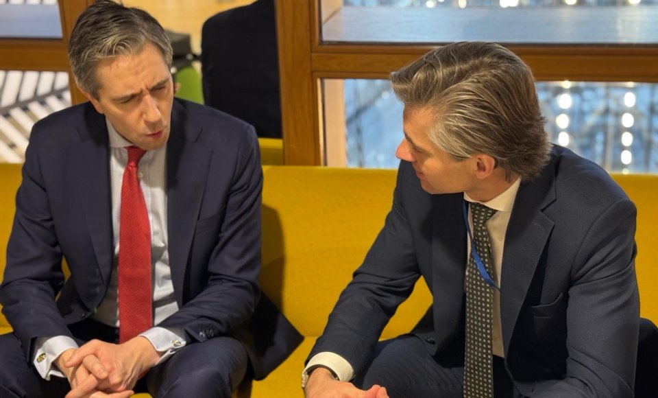 Budrys meets his new Irish counterpart, Simon Harris, in Brussels