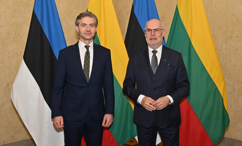 Lietuvos užsienio reikalų ministras K. Budrys susitiko su Estijos Prezidentu 