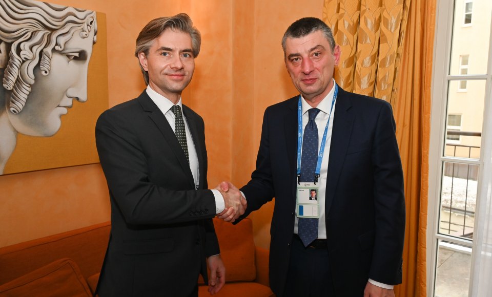 Budrys: Lithuania supports the Georgian people’s fight for freedom and their European choice