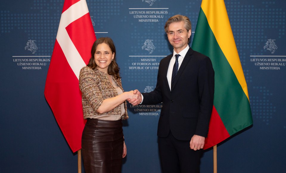 Budrys: Ukraine's EU membership before the year 2030 must be our goal