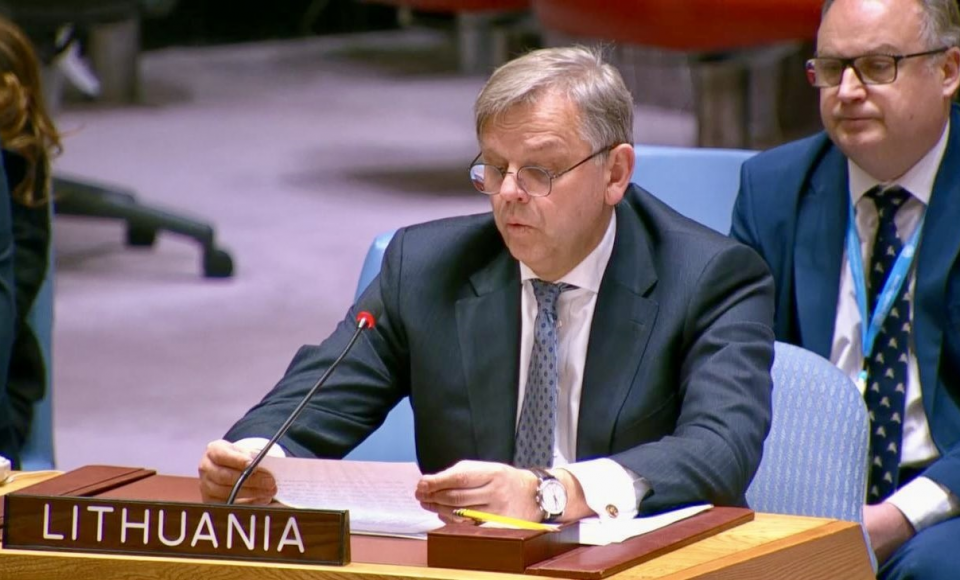 JT Saugumo Tarybos posėdyje Baltijos šalys reikalavo Rusijos atsakomybės už agresiją prieš Ukrainą