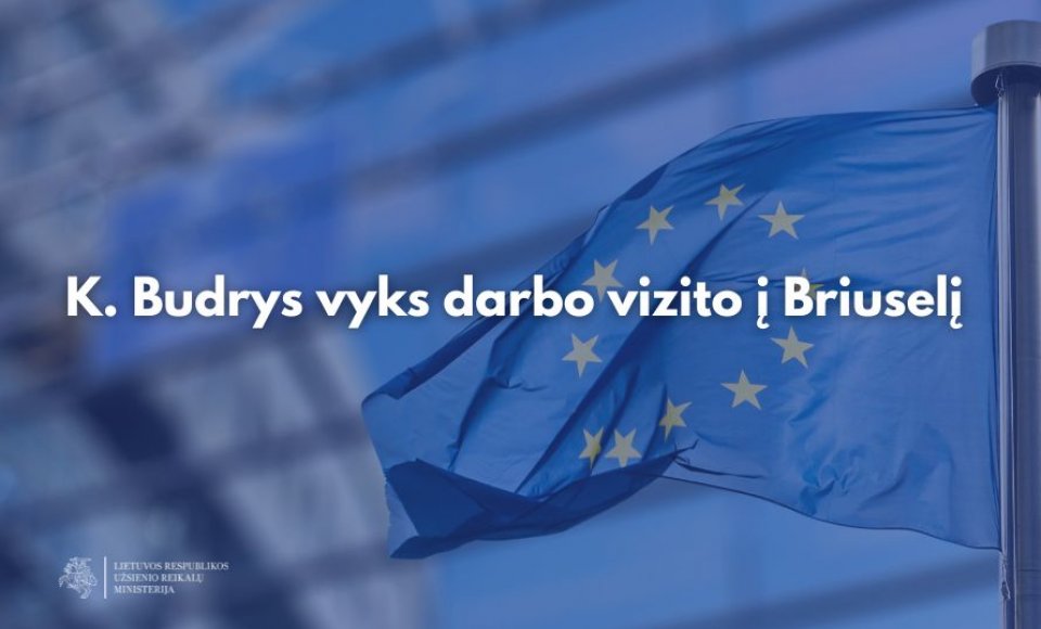 K. Budrys vyks darbo vizito į Briuselį