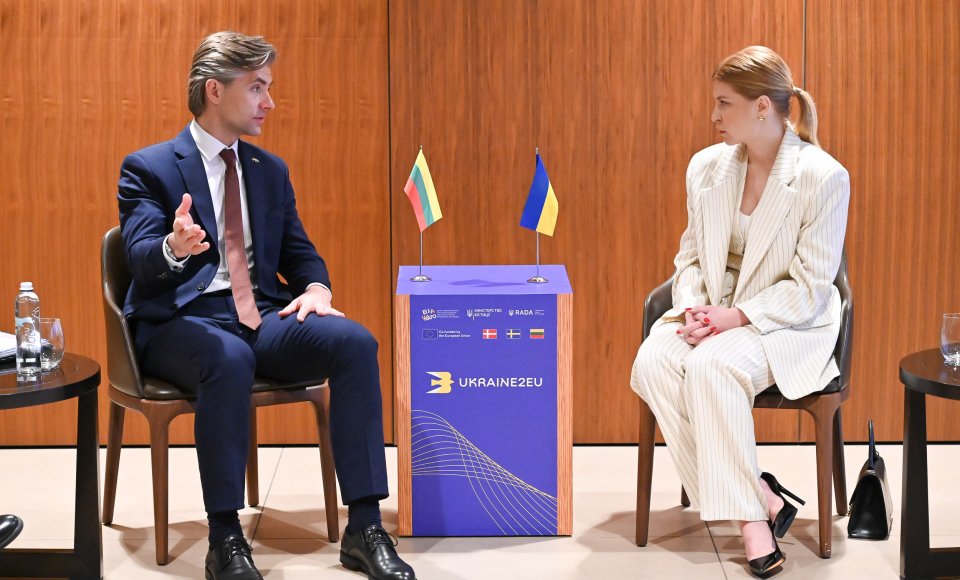 Minister Budrys: Ukraine’s EU membership - the most direct way to a stable and prosperous future
