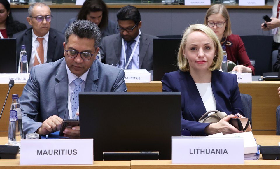 Viceministrė G. Grigaitė-Daugirdė: „Veiksmingas daugiašališkumas ir taisyklėmis grįsta tarptautinė tvarka yra esminiai siekiant saugumo Europoje ir Afrikos žemyne“