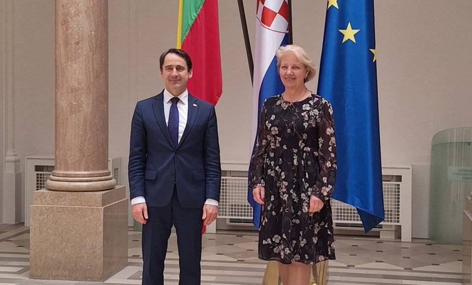 Viceministras S. Mitkus: Ukrainos narystė ES – vienas iš stipriausių saugumo garantų ne tik Kyjivui, bet ir visai Europai