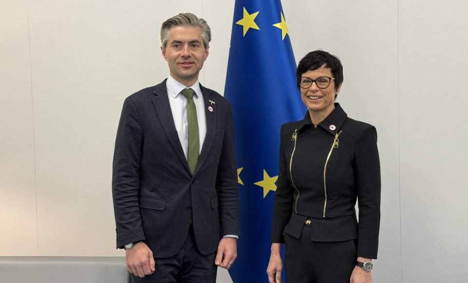K. Budrys: Ukrainos narystė ES bus didelis geopolitinis laimėjimas