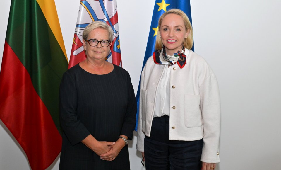  Vice-Minister Grigaitė-Daugirdė: it is necessary to strengthen Europe’s security and resilience and ensure full support for Ukraine