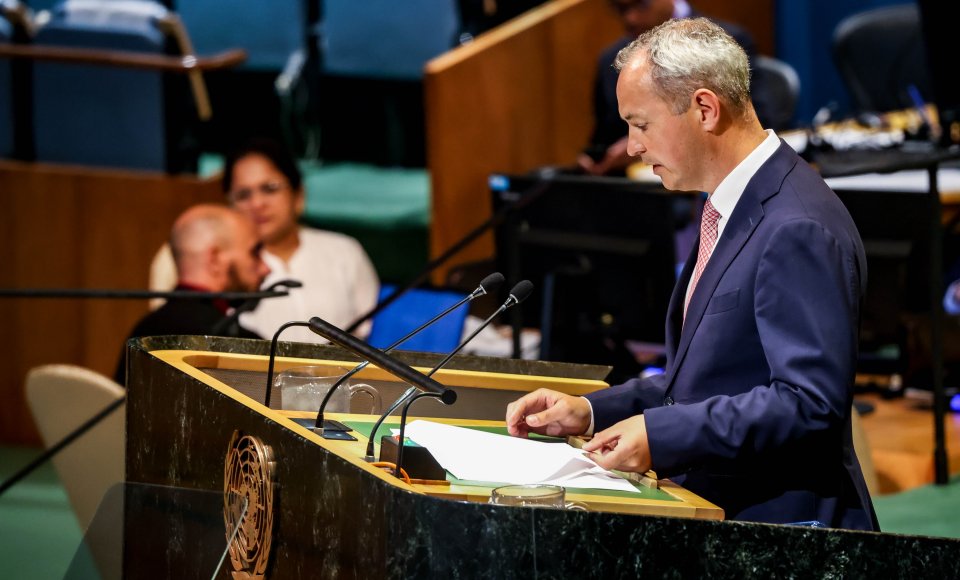 At the United Nations high-level Conference, Vice-Minister Pranevičius underlines Lithuania's support for the two-state solution for sustainable peace in the Middle East 