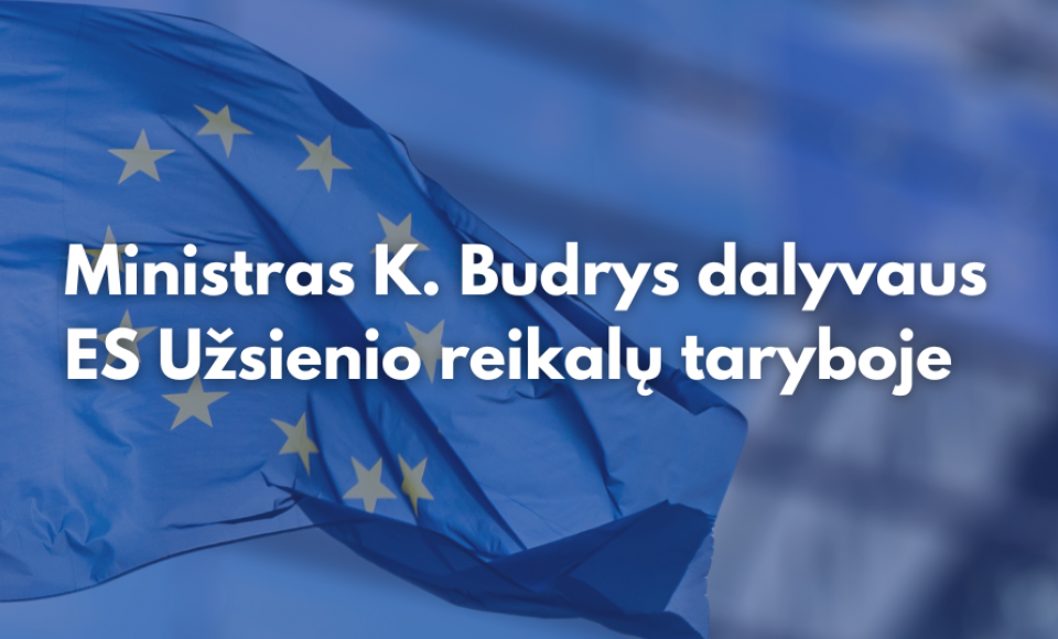 Ministras K. Budrys Briuselyje dalyvaus ES Užsienio reikalų taryboje