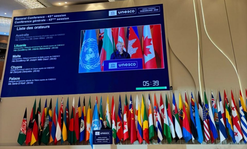 UNESCO Generalinės Konferencijos sesijoje – dėmesys Ukrainos programai
