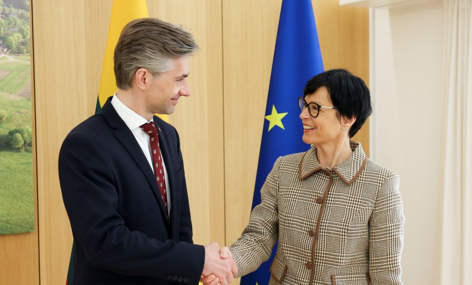 K. Budrys su ES plėtros komisare aptarė Ukrainos narystę ES