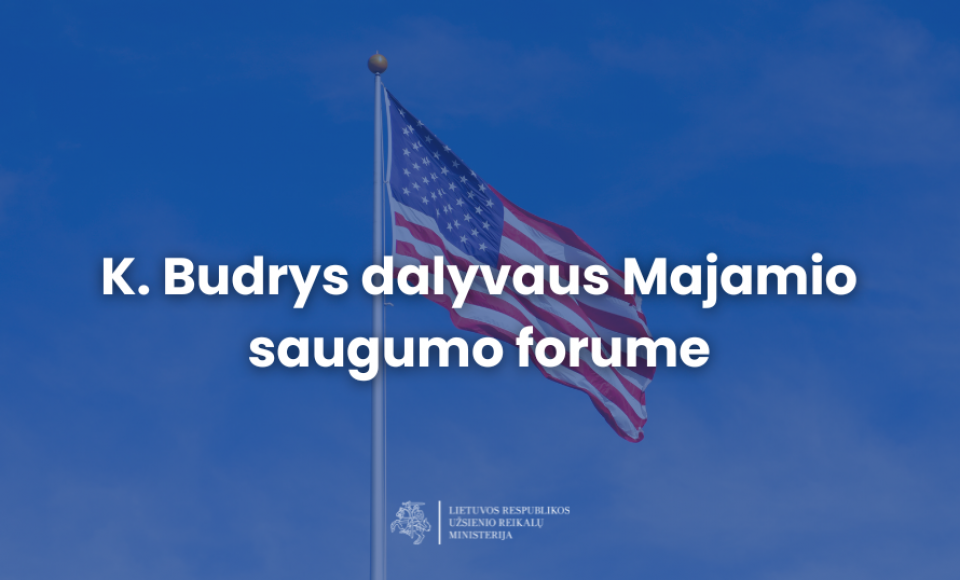 K. Budrys dalyvaus Majamio saugumo forume