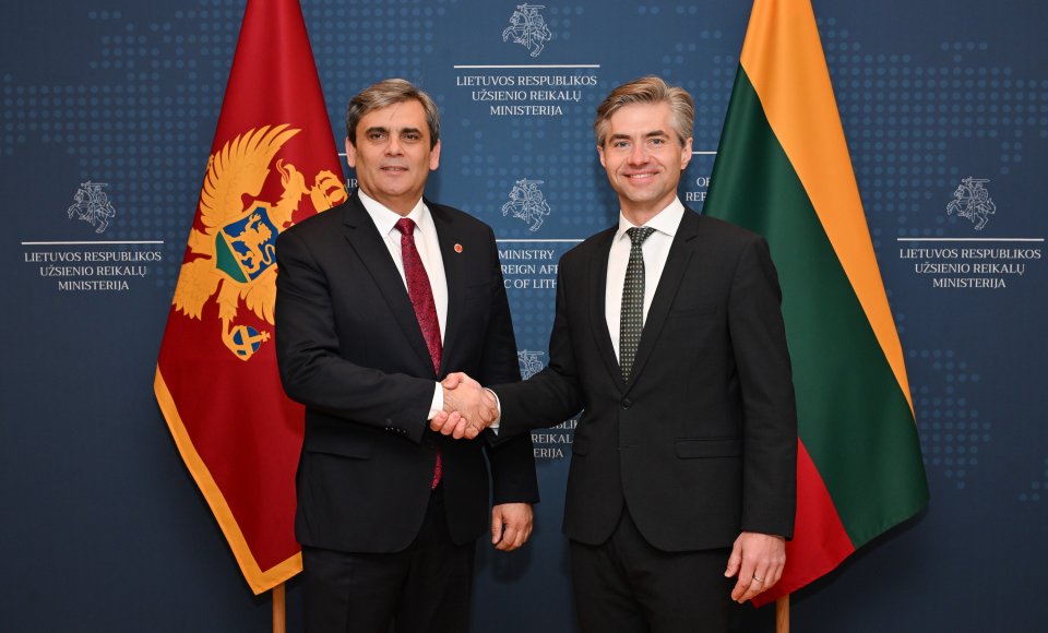 Budrys's meeting with the Minister of Montenegro focuses on EU enlargement, security, and support for Ukraine
