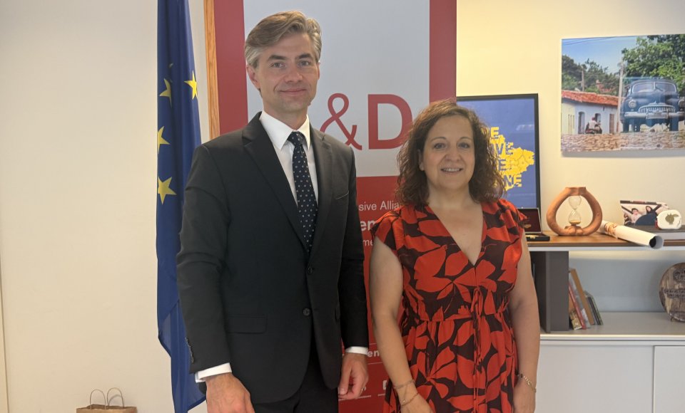 K. Budrys Europos Parlamente aptarė Lietuvos pirmininkavimo ES Tarybai prioritetus