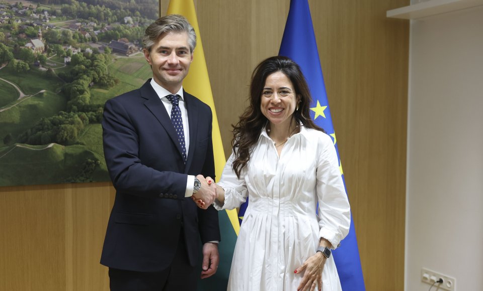 Budrys: Lithuania is interested in strengthening dialogue with the UAE