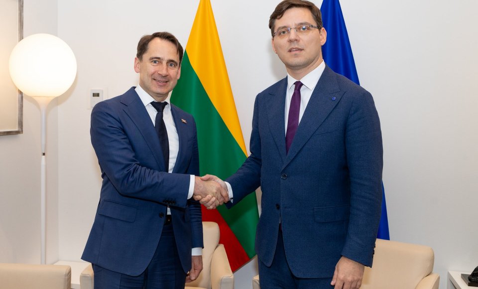 Vice-Minister Mitkus at the meeting with the EP Vice-President: Preservation of democratic...