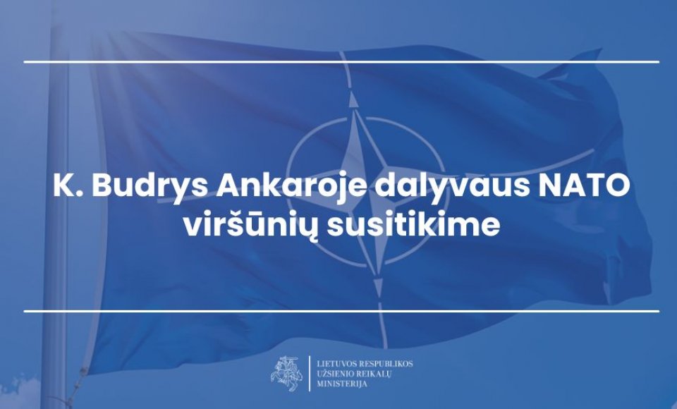 K. Budrys Ankaroje dalyvaus NATO viršūnių susitikime