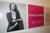 Stendas, pristatantis S.Gaskell metus Lietuvoje. A.Vaškevičiaus nuotr.
